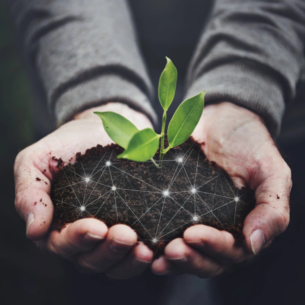 Empowering Growth