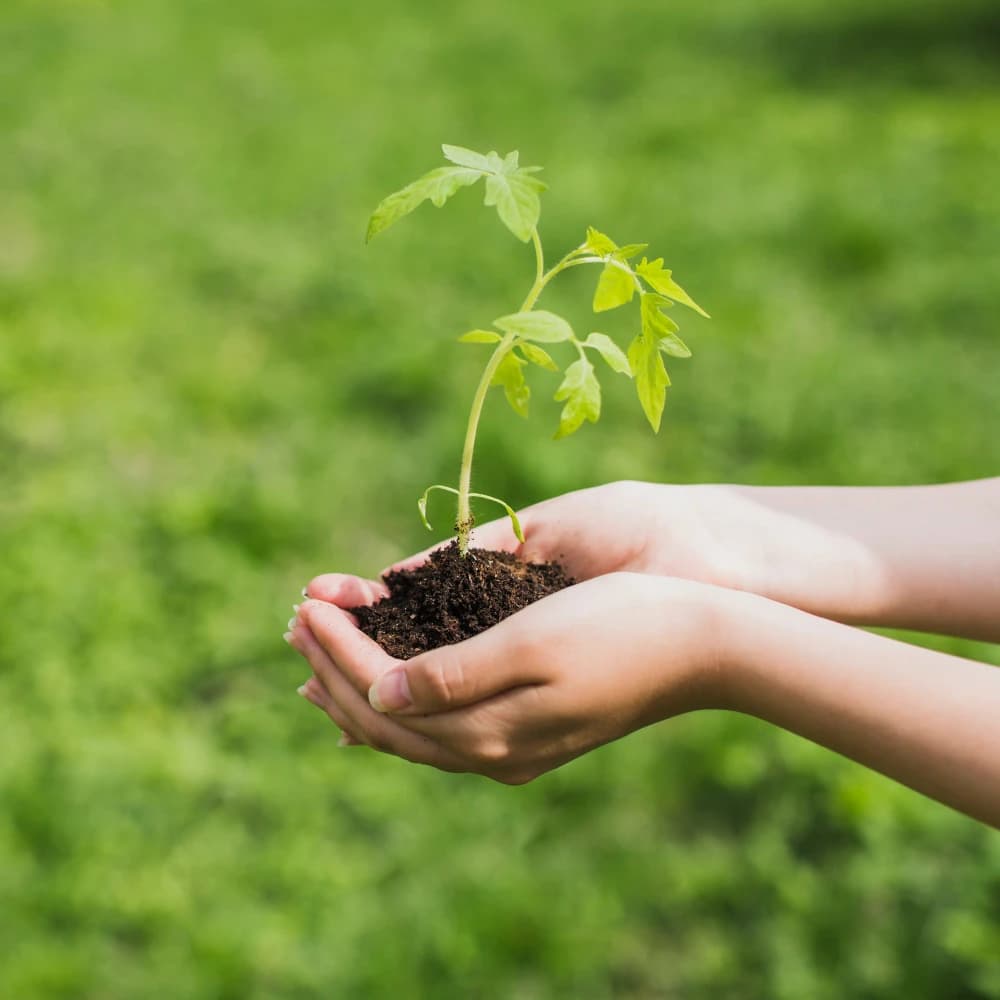 Fueling brighter tomorrows