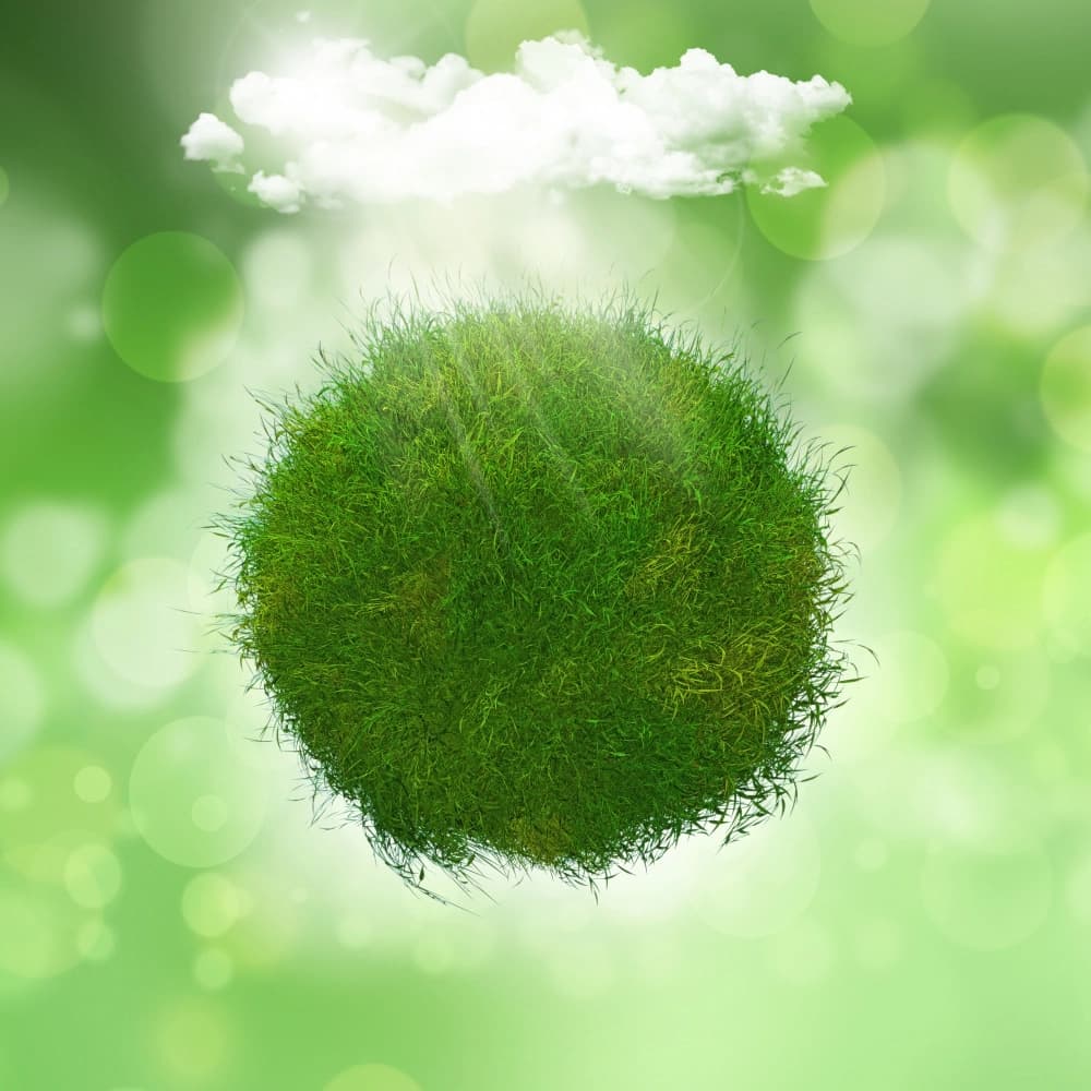 Net-Zero Carbon: Building Sustainable Futures